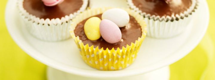 Chocolate iced cupcakes