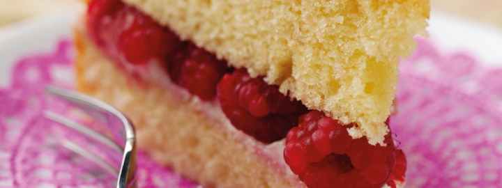 Calorie conscious Victoria sponge