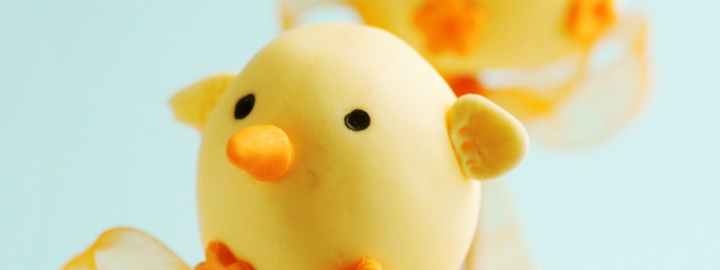 Cute chick cake pops