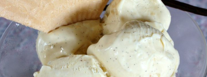 Indulgent vanilla ice cream | Eggcellentrecipes.com