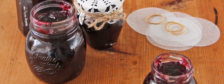Blackcurrant jam | Eggcellentrecipes.com