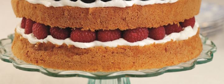 Calorie conscious fruit layer cake | Eggcellentrecipes.com