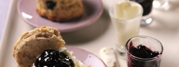 Blueberry scones | Eggcellentrecipes.com