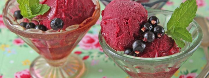 Blackcurrant sorbet