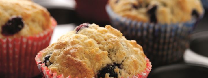 Calorie conscious blueberry breakfast muffins