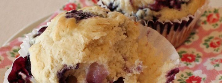 Calorie conscious blueberry muffins