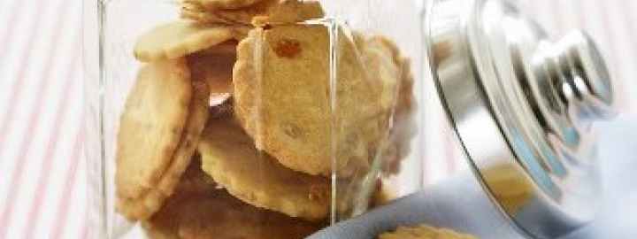 Hazelnut and orange cookies | Eggcellentrecipes.com