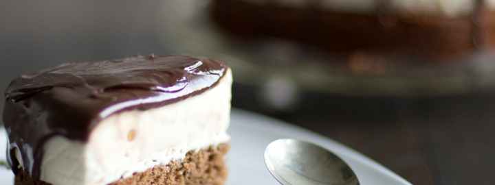 Chocolate, hazelnut and Baileys ice cream cake