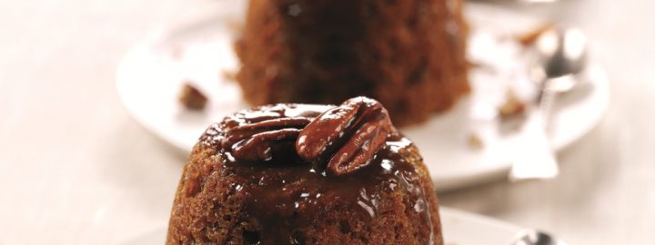 Chocolate raspberry fondant pudding