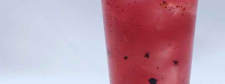 Blueberry mojito cocktail | Eggcellentrecipes.com