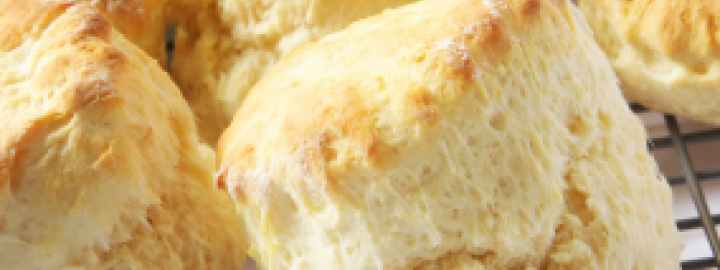 Teatime scones | Eggcellentrecipes.com