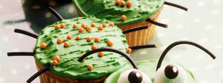 Caterpillar cupcakes | Eggcellentrecipes.com
