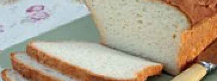 Gluten free bread