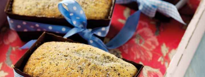 Lemon and poppy seed cakes