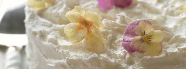 Lemon cake with crystallised pansies