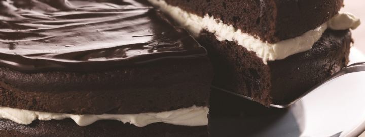 Rich chocolate cake