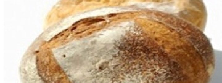 Rye bread Rye bread