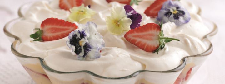 Strawberry trifle with Pimms